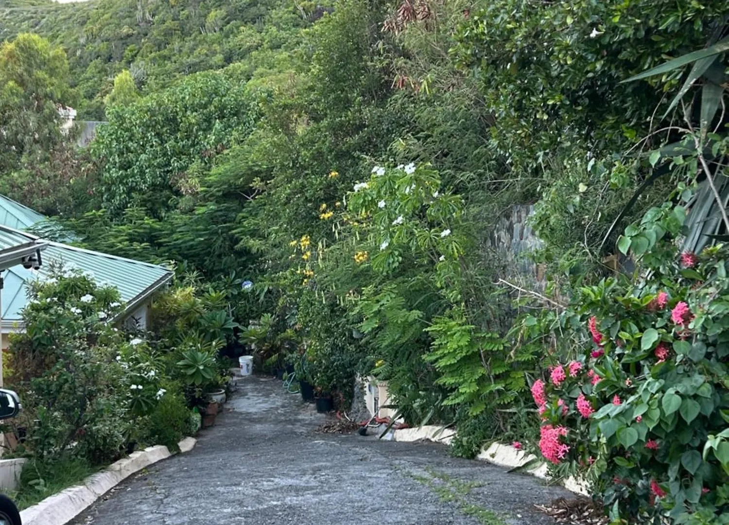Bayside Paradise Apartment, Minutes From The Beach Guana Bay 0*,  Saint-Martin